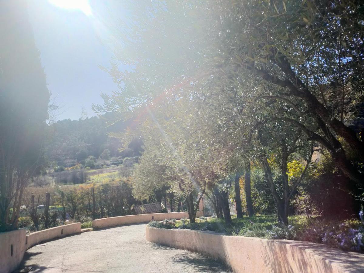 Villa Un Brin De Paille Cagnes-sur-Mer Exterior foto