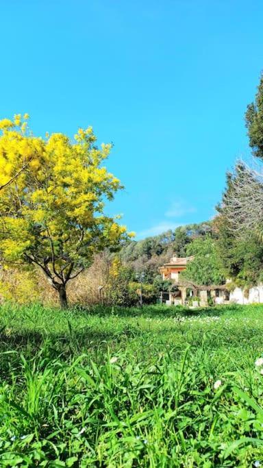 Villa Un Brin De Paille Cagnes-sur-Mer Habitación foto